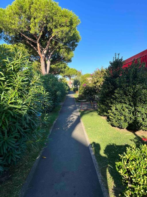 Casina Mare Bibbona Apartment Marina Di Bibbona Luaran gambar